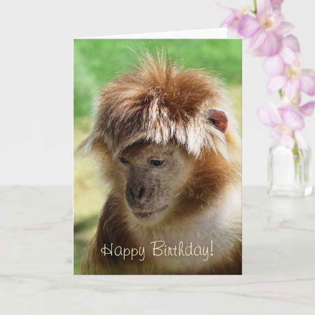 MONKEYS CARD (Orchid)