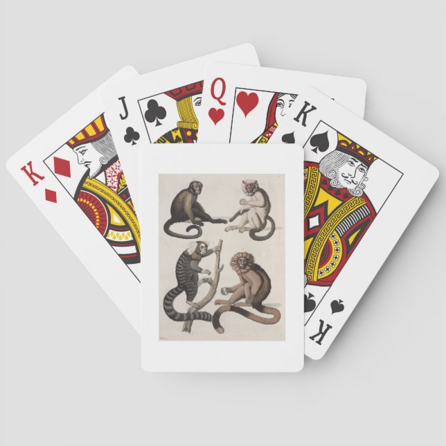 Monkeys (colour litho) poker cards (Back)