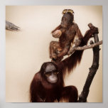 Monkeys In A Tree Poster at Zazzle