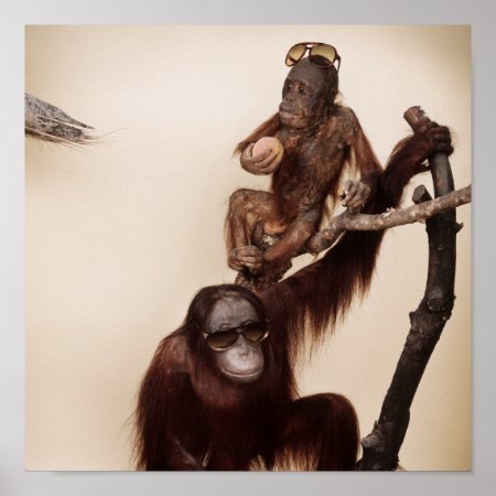 Monkeys In A Tree Poster