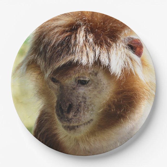 MONKEYS PAPER PLATES (Front)
