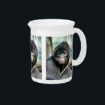 MONKEYS PITCHER<br><div class="desc">A photographic design of a cute black spider monkey.</div>