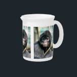 MONKEYS PITCHER<br><div class="desc">A photographic design of a cute black spider monkey.</div>