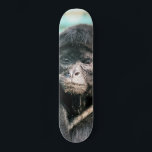 MONKEYS SKATEBOARD DECK<br><div class="desc">A photographic design of a cute black spider monkey.</div>