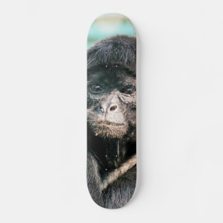 MONKEYS SKATEBOARD DECK