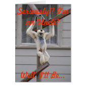 Monkey's Uncle (Front)