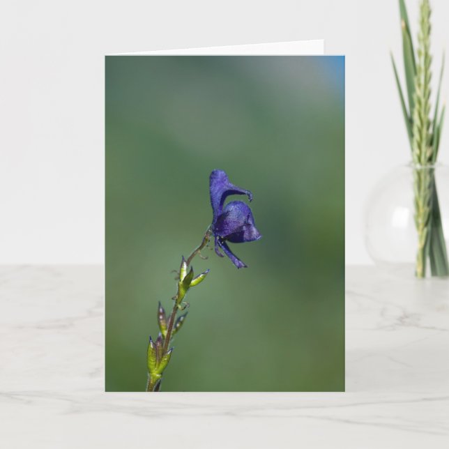 Monk'shood1 Card (Front)