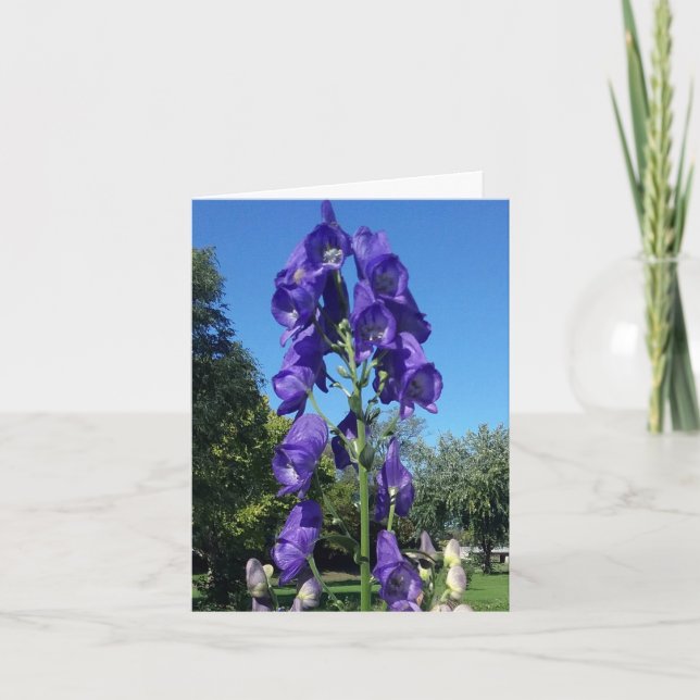 Monkshood Blues Card (Front)