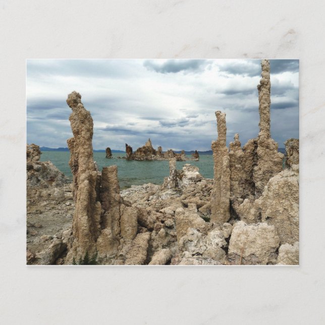 Mono Lake Postcard (Front)