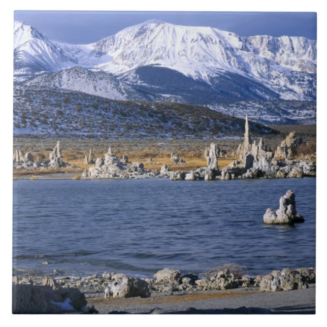 MONO LAKE TUFA STATE NATURAL RESERVE, CERAMIC TILE (Front)