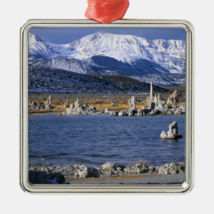 MONO LAKE TUFA STATE NATURAL RESERVE, METAL ORNAMENT