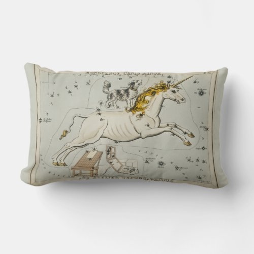 Monoceros Canis Minor and Atelier Typographique Lumbar Pillow