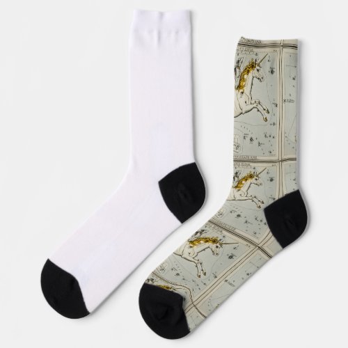 Monoceros Canis Minor and Atelier Typographique Socks