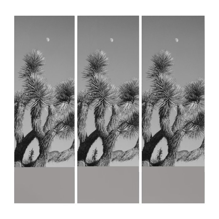 Monochromatic Joshua Tree And The Moon Triptych