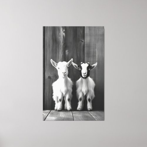 Monochromatic Portrait of Two Baby Goats  Canvas Print