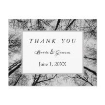 Monochromatic treetops thank you