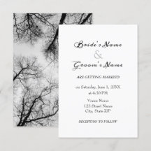 Monochromatic treetops wedding