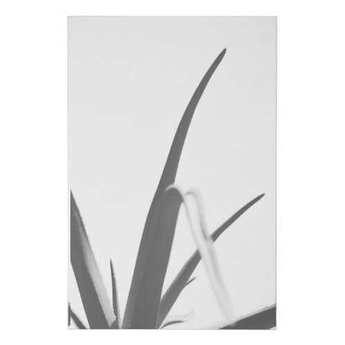 Monochrome Black White Aloe Plant Leaves Faux Canvas Print