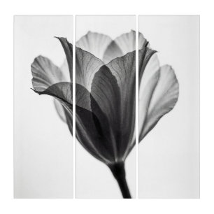 Monochrome botanical fine art photograph