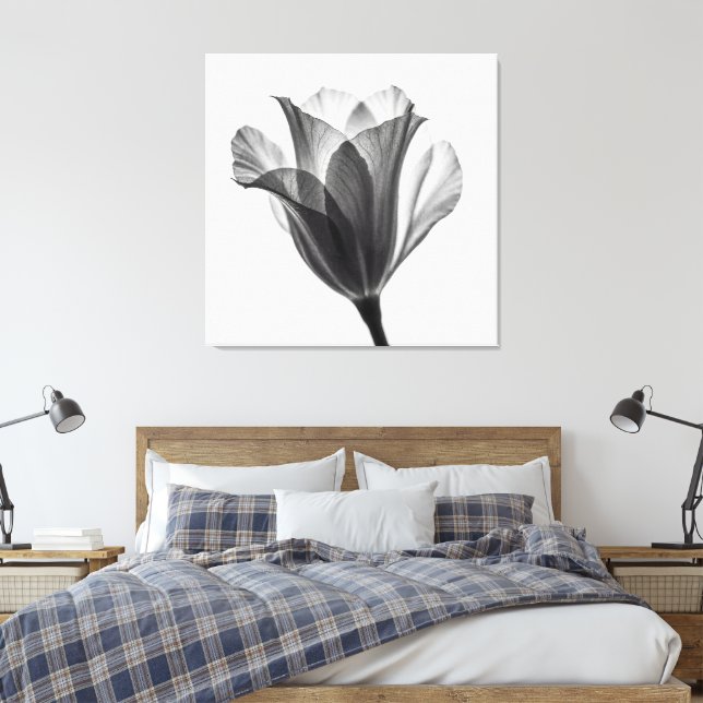 Monochrome botanical fine art photograph canvas print (Insitu(Bedroom))