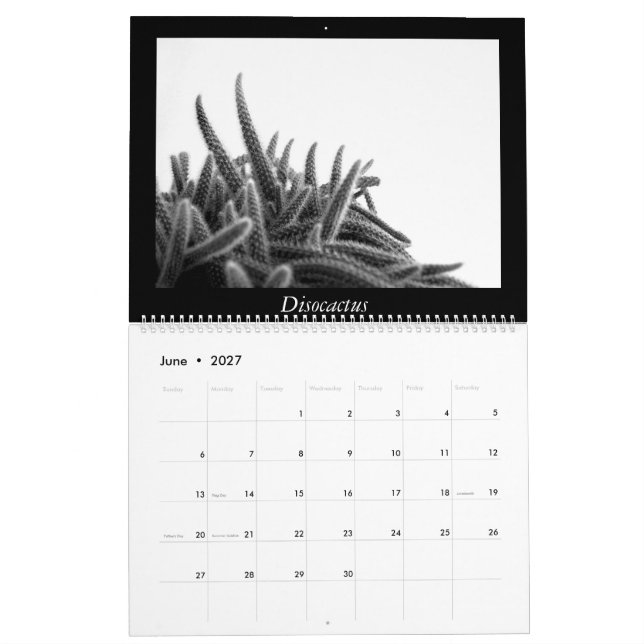 Monochrome Cacti 2025 Calendar (Jun 2027)
