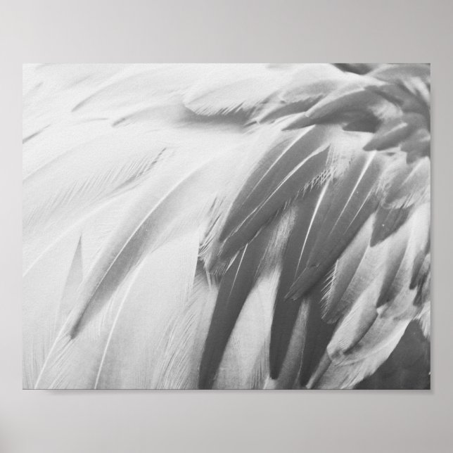 Monochrome Flamingo Feathers Printable Art  Poster (Front)