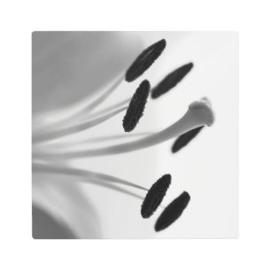 Monochrome Lily Stamen Metal Wall Art