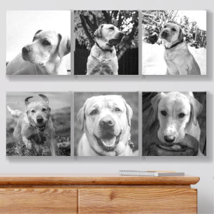 Monochrome Personalized 6 Photographs Foam Core Photo Tile
