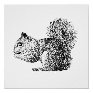 Monochrome Squirrel poster (part of a set)