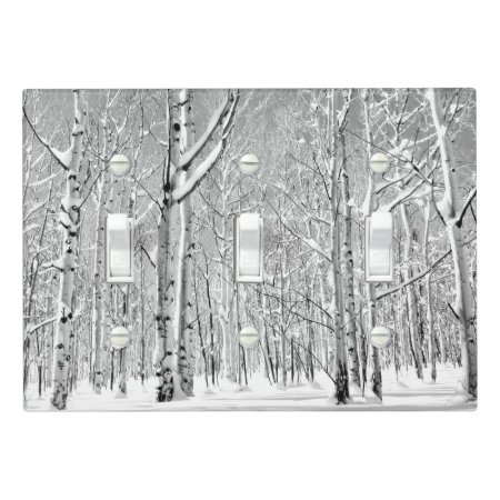 Monochrome Towering Aspen Trees in Winter Snow