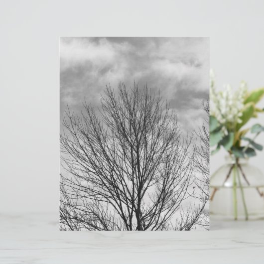 Monochrome Tree Top (Standing Front)