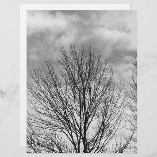 Monochrome Tree Top (Front/Back)
