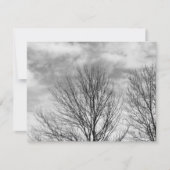 Monochrome Tree Top (Front)