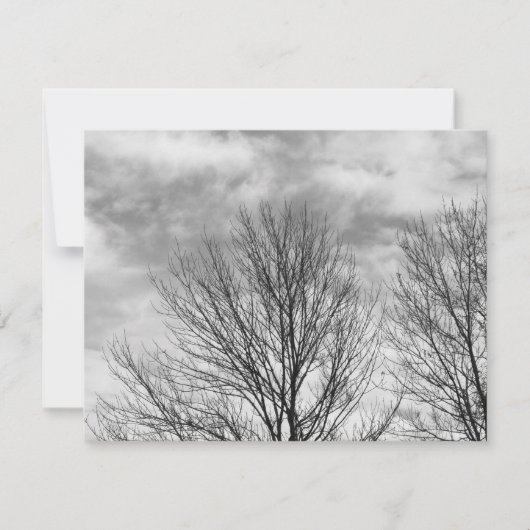 Monochrome Tree Top (Front)