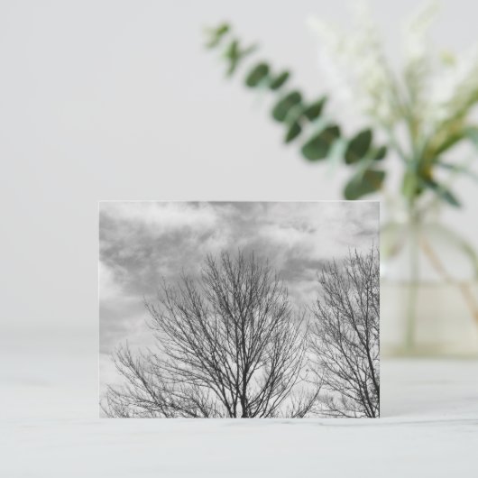 Monochrome Tree Top (Standing Front)