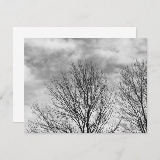 Monochrome Tree Top (Front/Back)