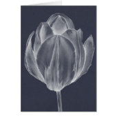 Monochrome Tulip I (Front)