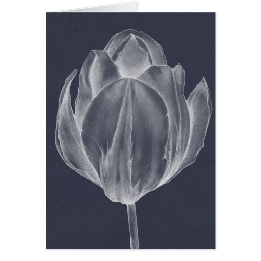 Monochrome Tulip I Cards (Front)