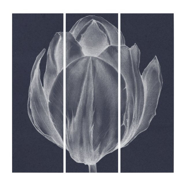 Monochrome Tulip I Triptych (Front)
