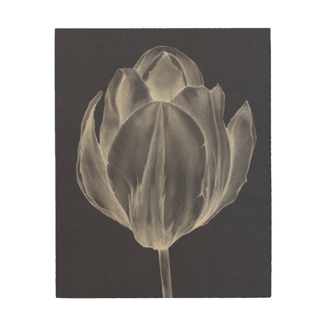 Monochrome Tulip I Wood Wall Decor (Front)