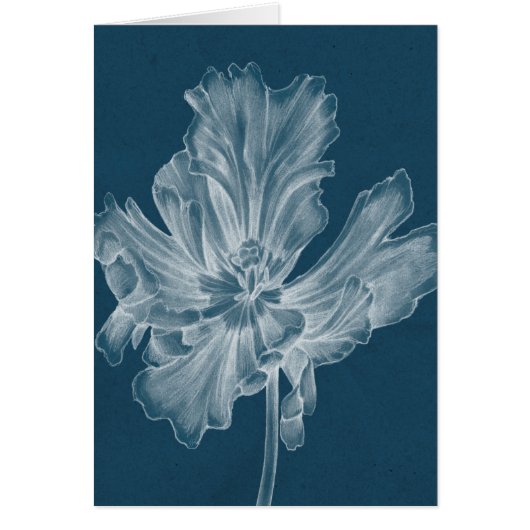 Monochrome Tulip II Cards (Front)