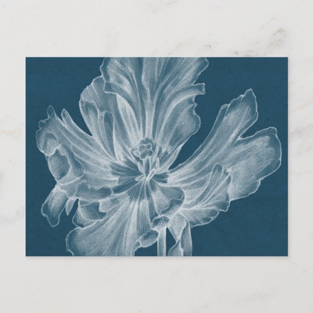 Monochrome Tulip II Postcard (Front)