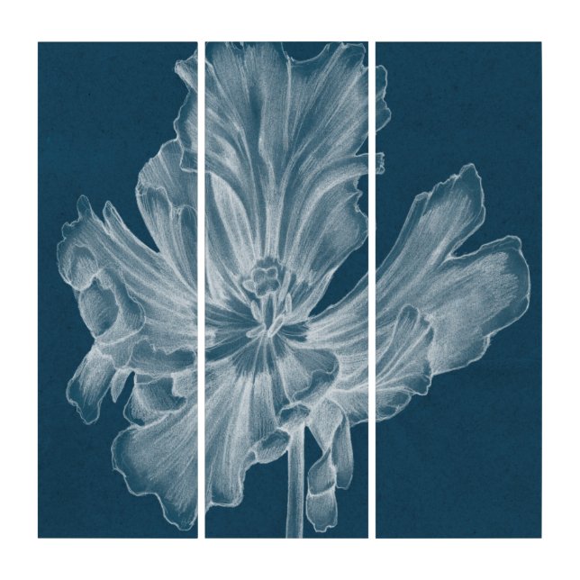 Monochrome Tulip II Triptych (Front)