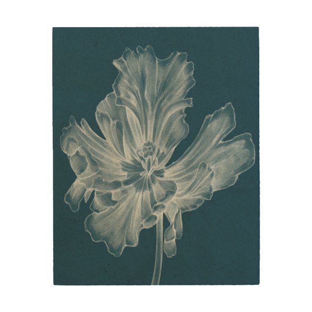 Monochrome Tulip II Wood Wall Art (Front)