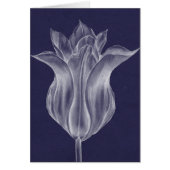 Monochrome Tulip III (Front)