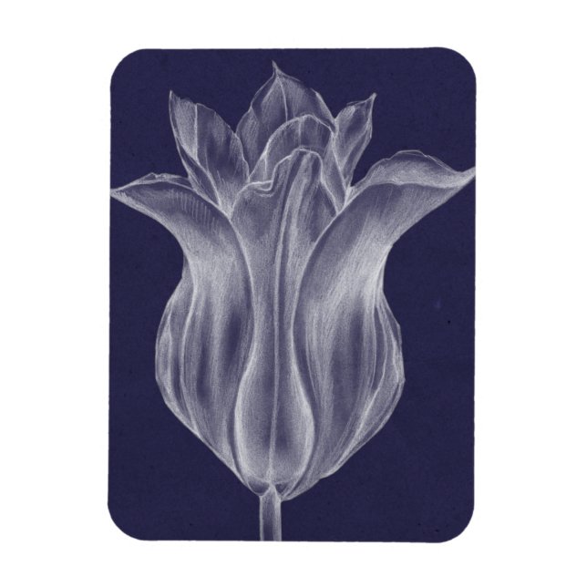 Monochrome Tulip III Magnet (Vertical)