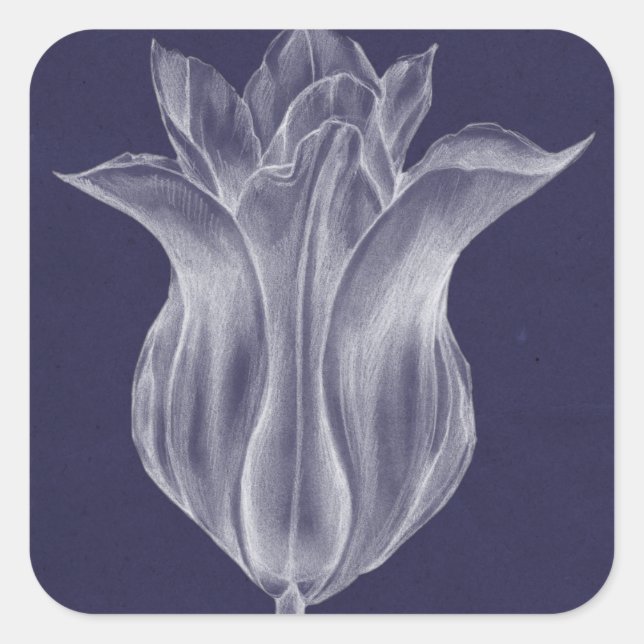 Monochrome Tulip III Square Sticker (Front)