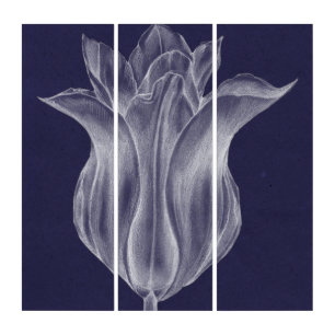 Monochrome Tulip III Triptych