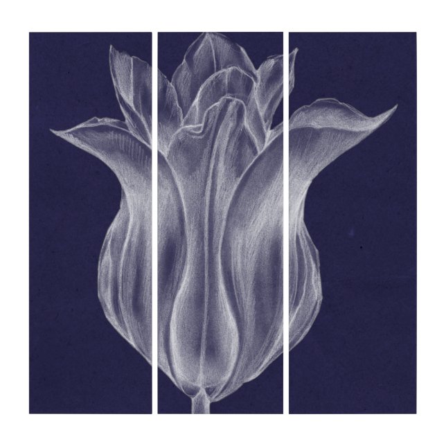 Monochrome Tulip III Triptych (Front)