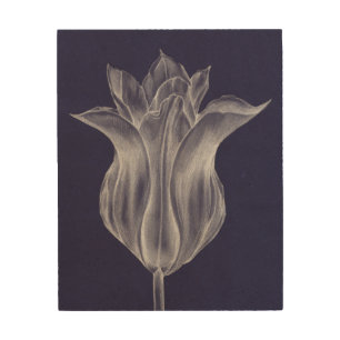 Monochrome Tulip III Wood Wall Decor